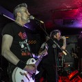 GutterPunk - Professional Concert Photography